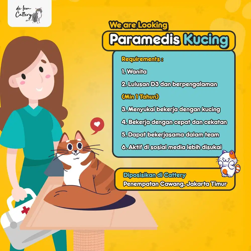 Lowongan Kerja Paramedis Kucing