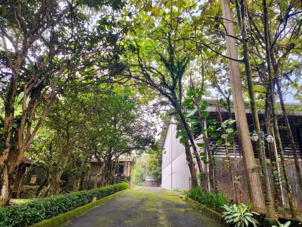 Dijual Tanah di Rancamaya Bisa Beli Separuh