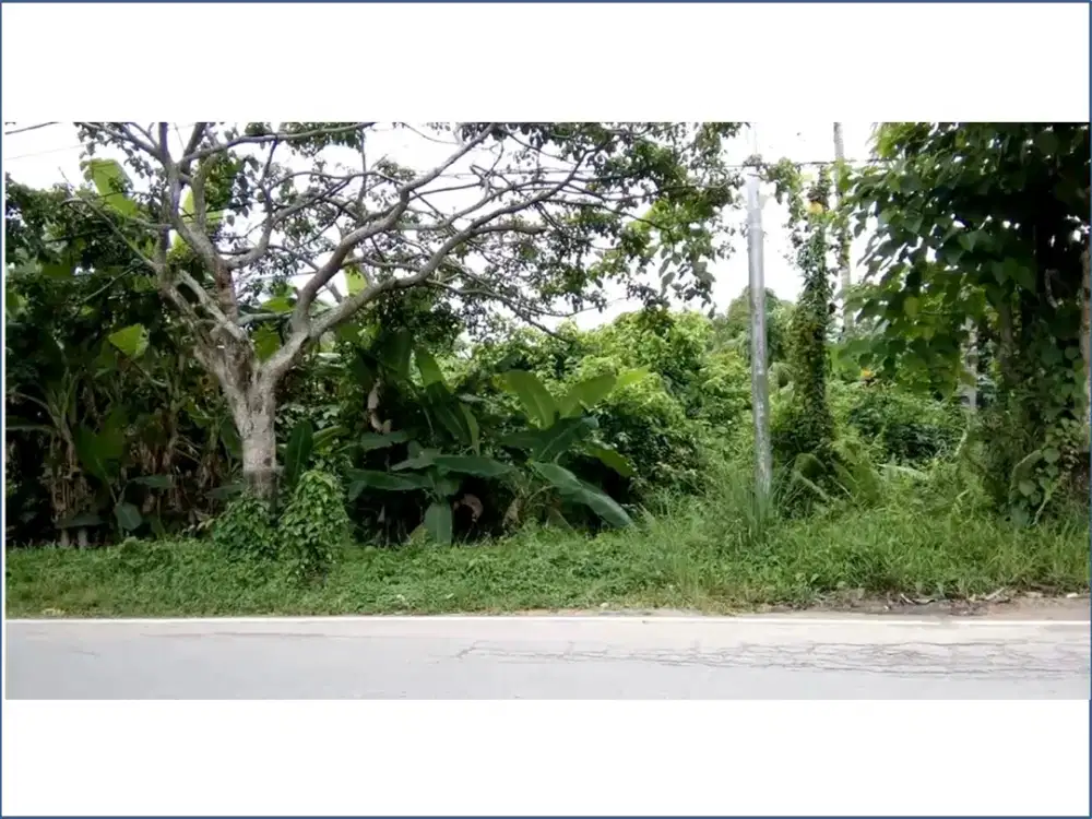 Tanah Pinggir Jalan Mulawarman – Teritip