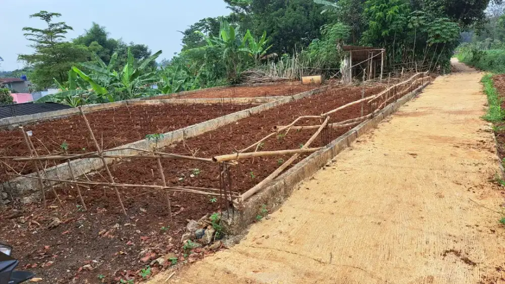 Di Jual Tanah di TajurHalang, Bogor, Jawa Barat