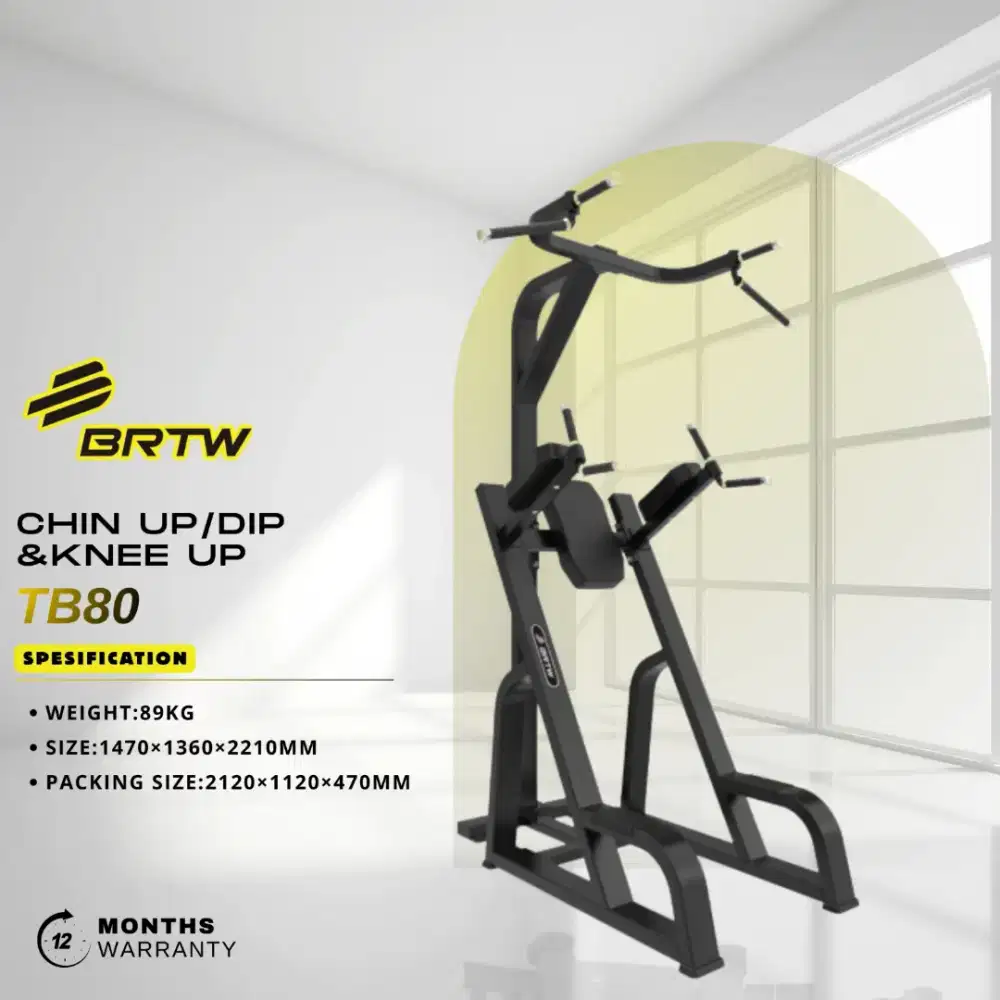 CHIN UP DIP  KNEE UP  BRTW TB80  ALAT FITNESS GYM COMERCIAL