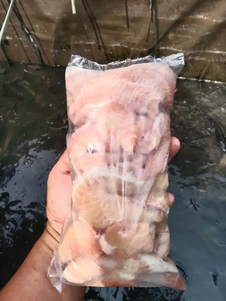 Filet Ikan lele 1 Kg tanpa kulit