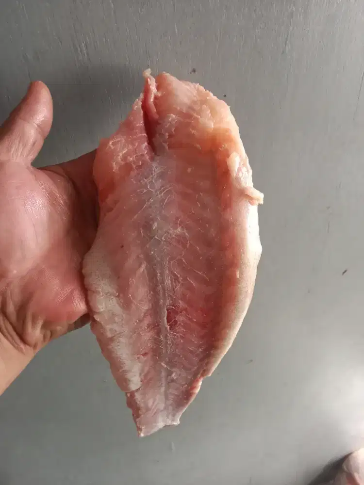 Filet Ikan patin 1 kg tanpa kulit
