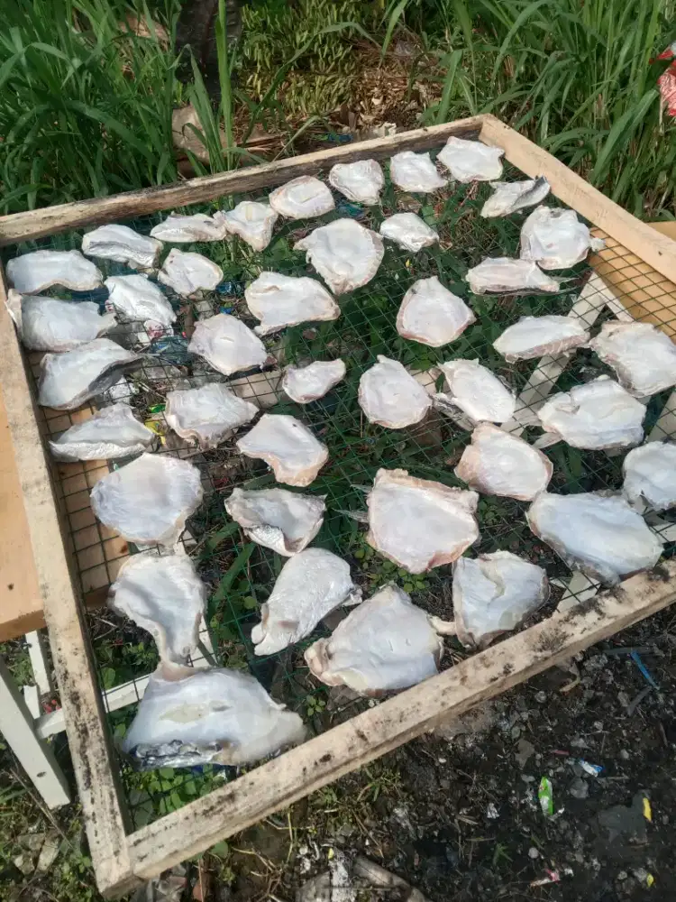 Ikan asin perut patin 1 Kg