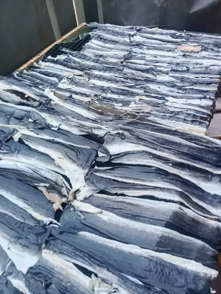 Kulit Ikan lele 1 kg