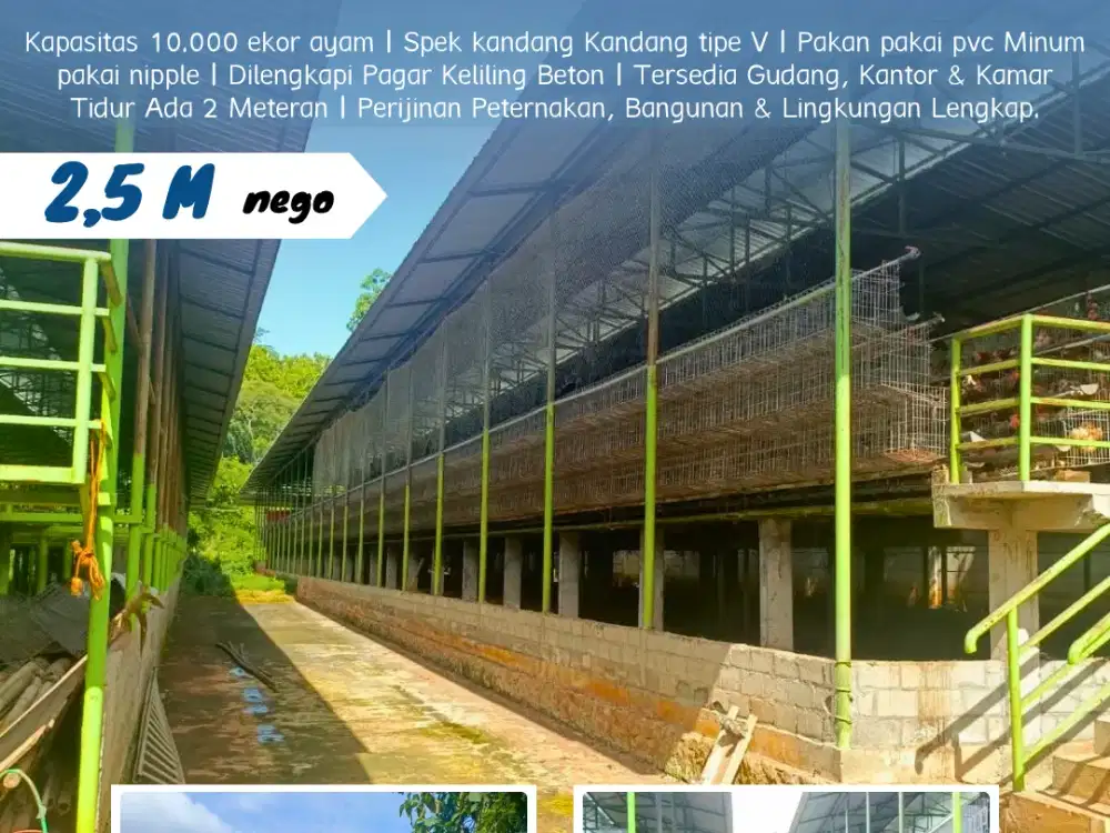 DIJUAL TANAH BANGUNAN KANDANG AYAM PETELUR + ISINYA di WONOSARI