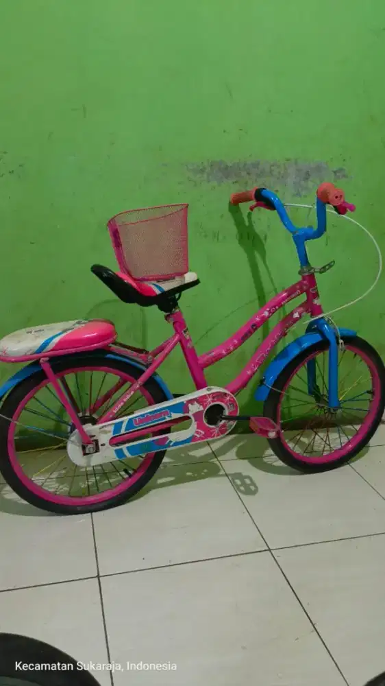Sepeda kids bike merk rubick
