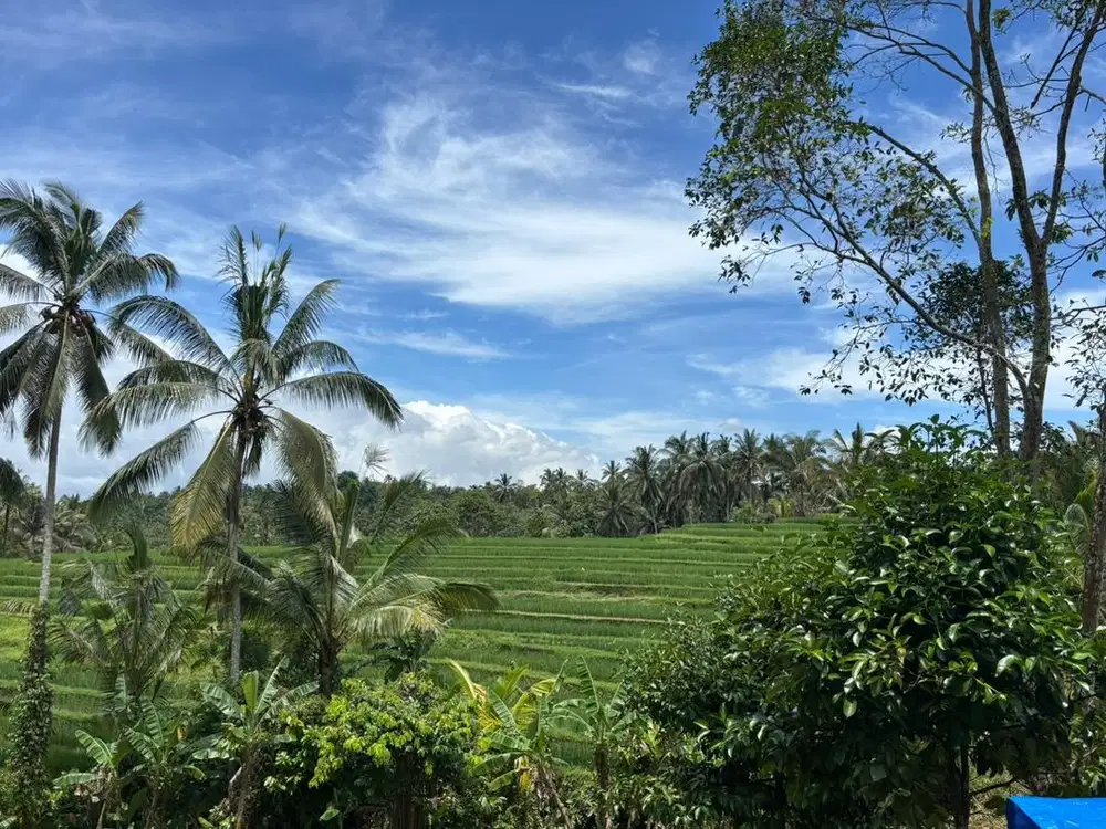 Investasi Masa Depan