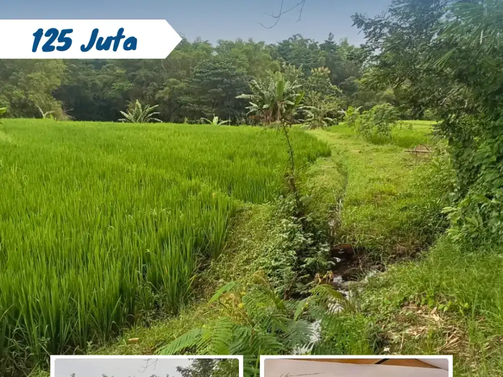 Dijual Sawah Di Alastuo, Kebakkramat, Karanganyar