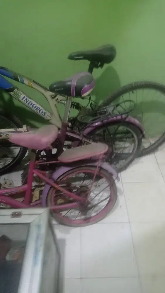 Sepeda dewasa merk genio, merk united anak anak
