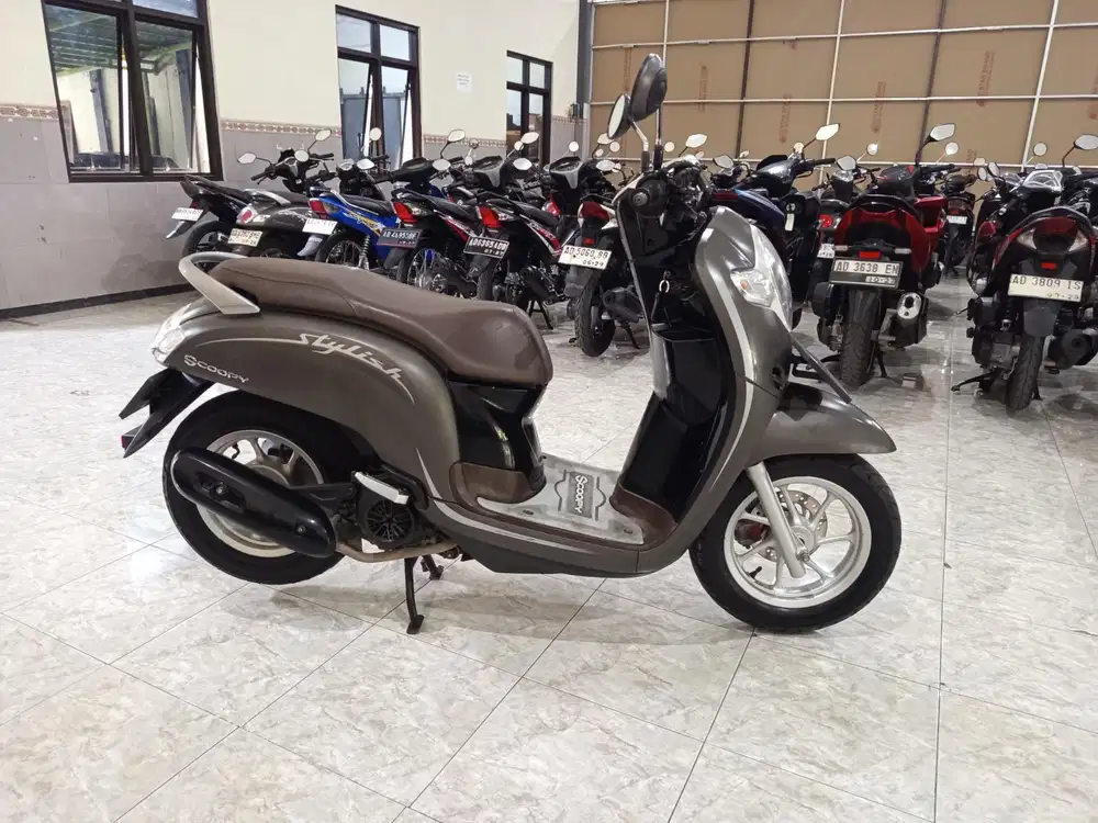 Scoopy Fi New 2020