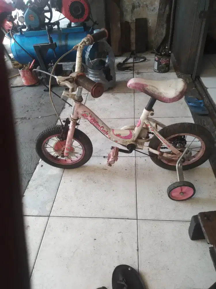 Jual sepeda anak wim cycle