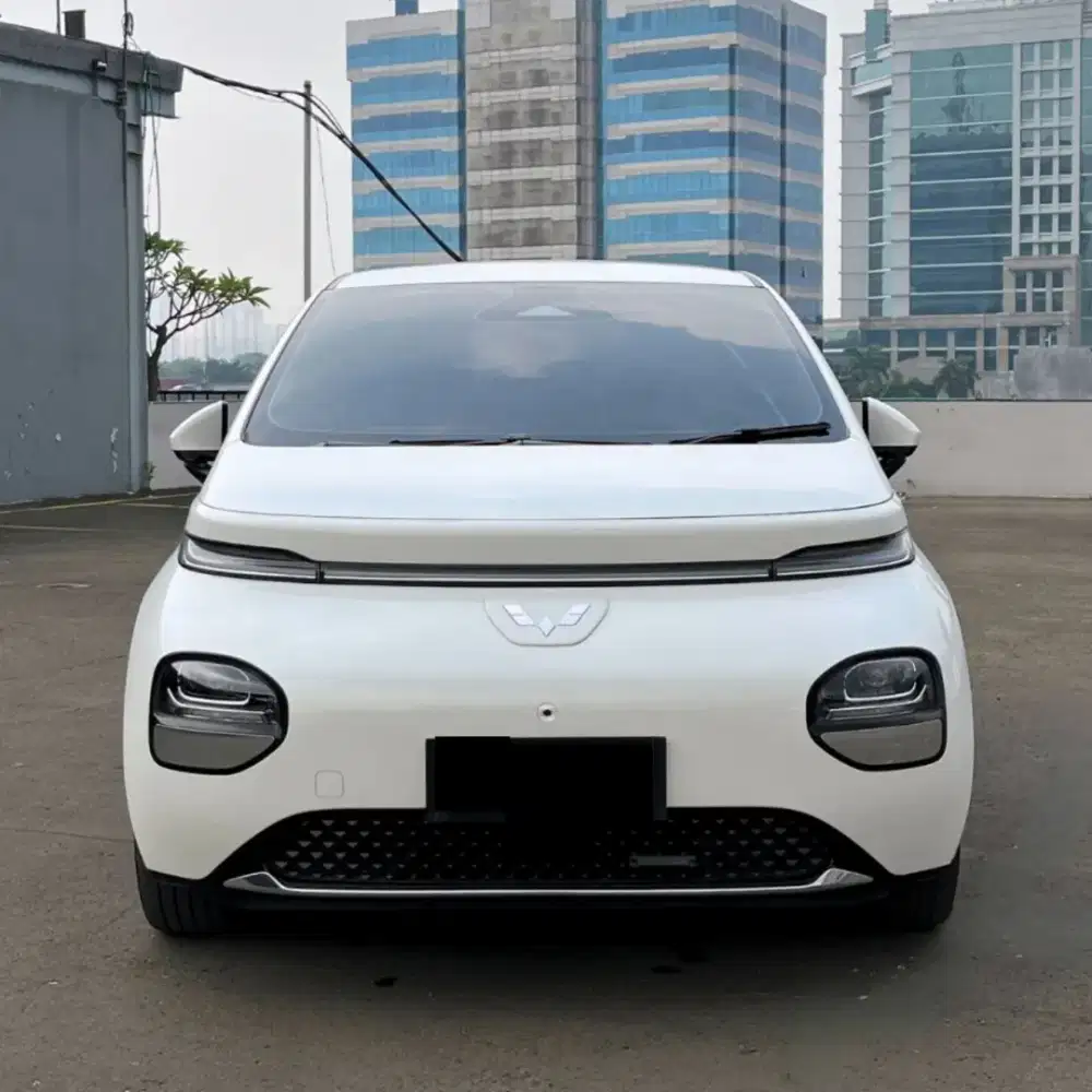 Wulling Cloud EV Nik 2024