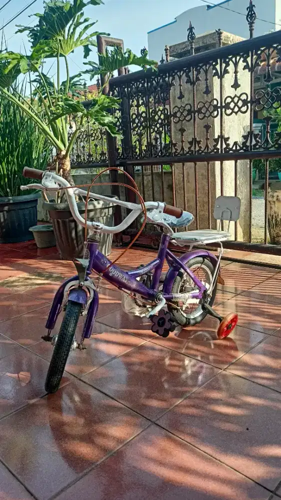 Sepeda goes dan sepeda bocil
