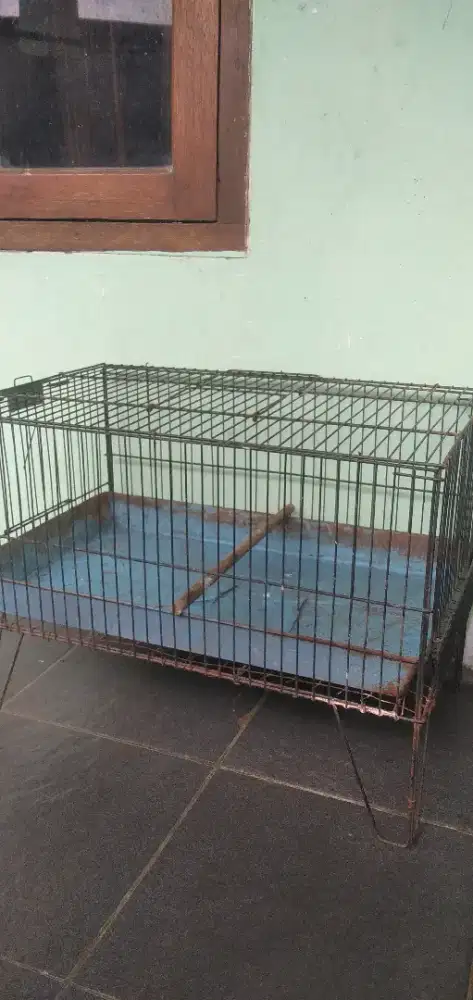 Kandang mandi burung