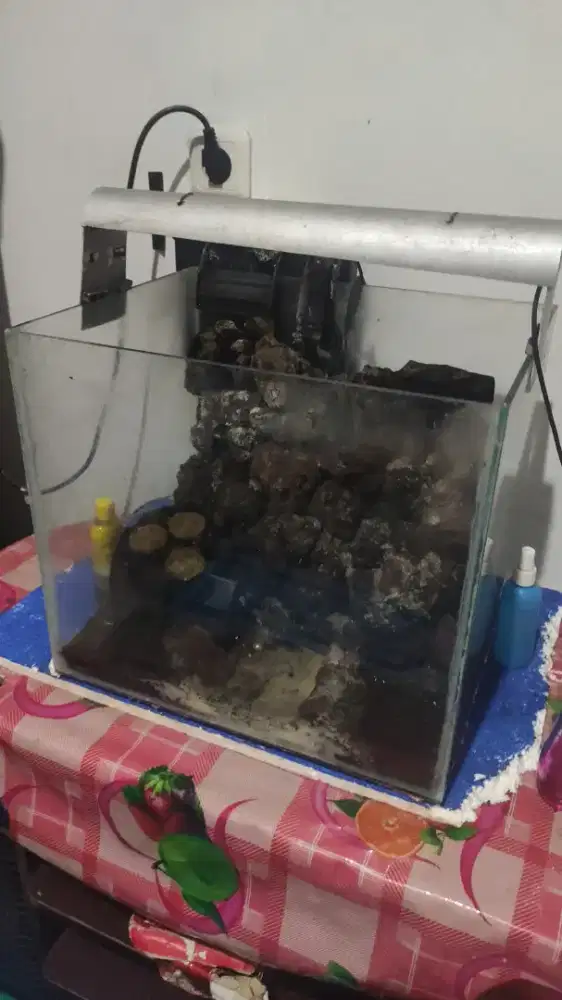 Aquarium Aquascape + Lampu + Pompa