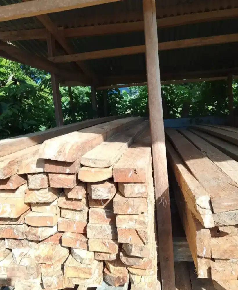 JUAL KAYU JADI PONTO PUTIH/ASLI