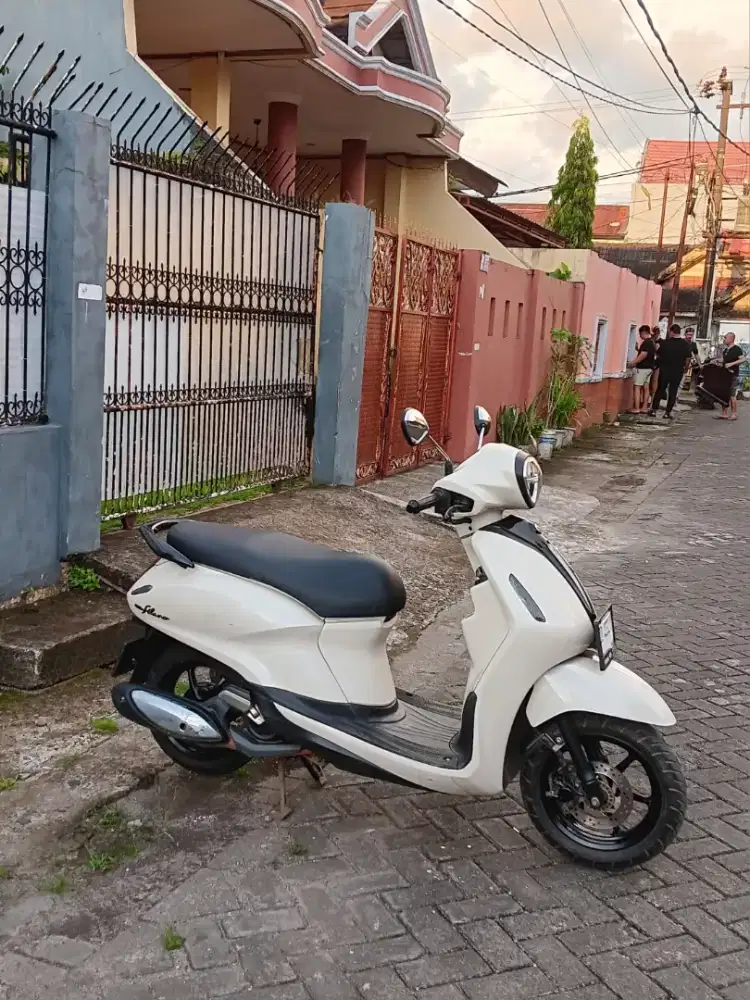 Grand filano 2023