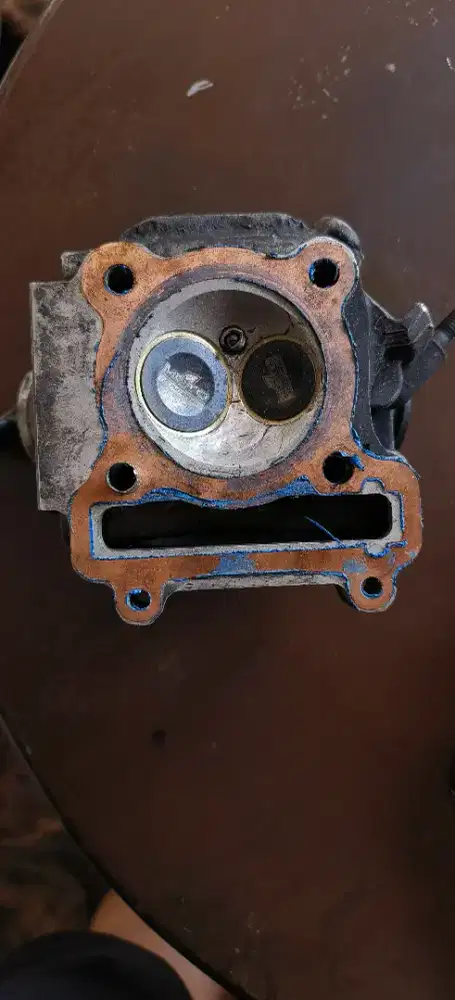head mio modifan