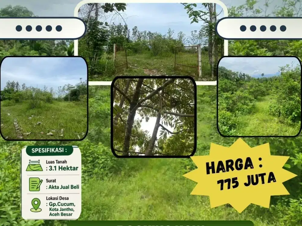 Dijual tanah dengan lokasi yang strategis di Desa Cucum, Kota Jantho, Aceh Besar.