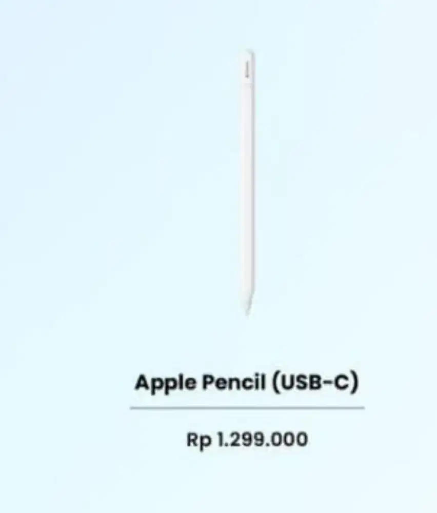 APPLE PENCIL (USB-C)