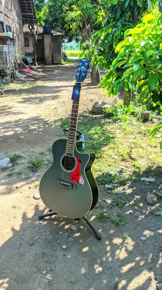 Gitar Akustik Taylor High Quality Baru