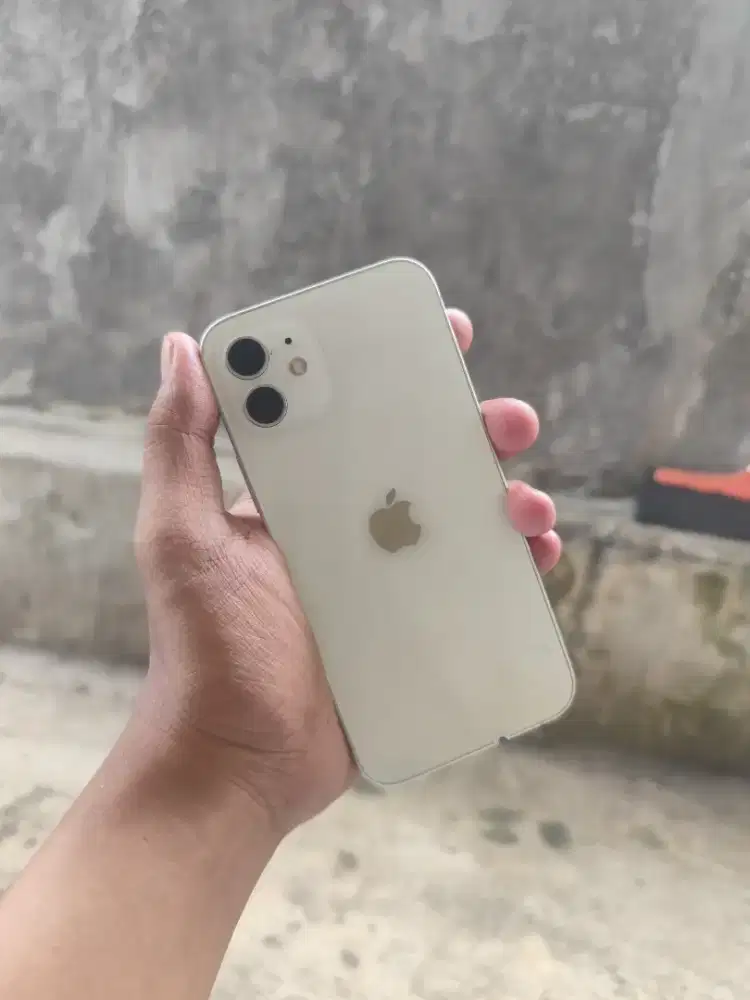 iPhone 12 128gb mulus