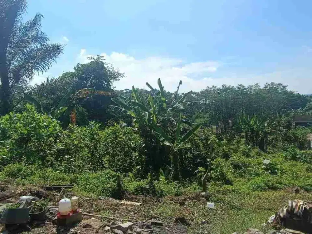 DIJUAL TANAH PUDAKPAYUNG BANYUMANIK SEMARANG. LUAS 3883M2 BISA UNTUK CLUSTER MINI, GUDANG, KANTOR, RUMAH KOST DLL
