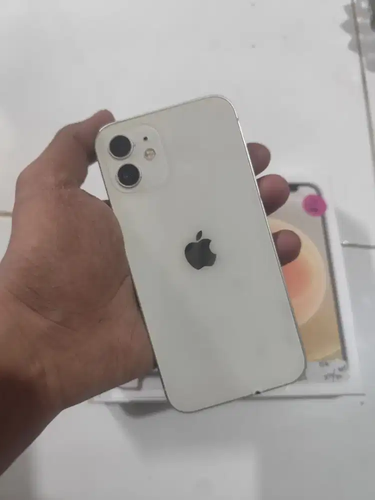 Iphone 12 128gb mulus