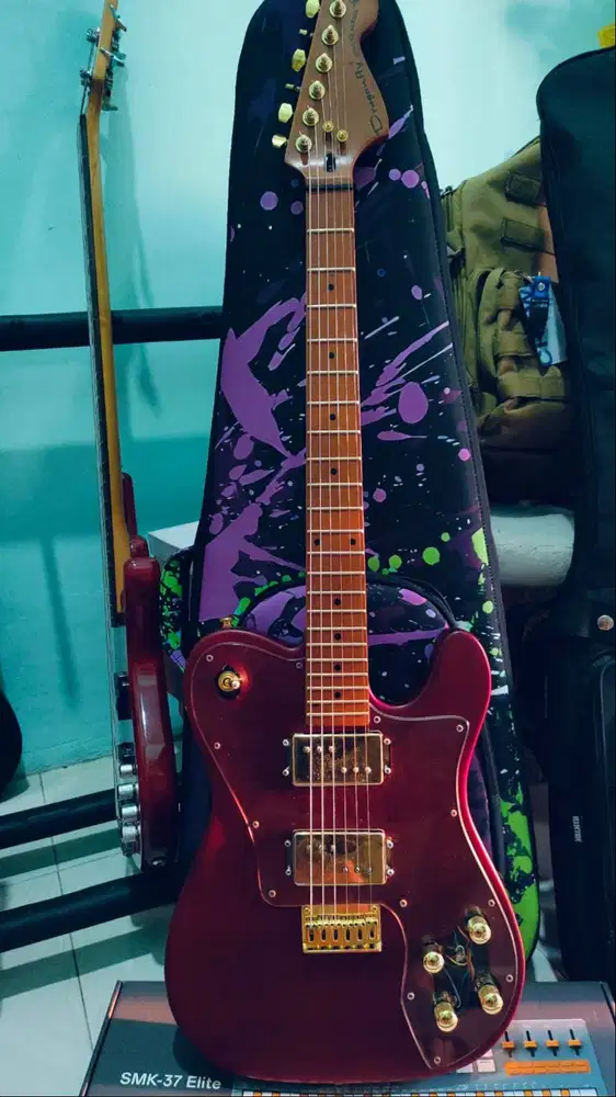 Gitar Dragonfly Deluxe Series
