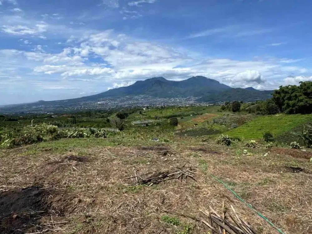 Tanah Murah Kota Batu – Lahan Datar Pinggir Jalan View Gunung & Kota, Jarang Ada!