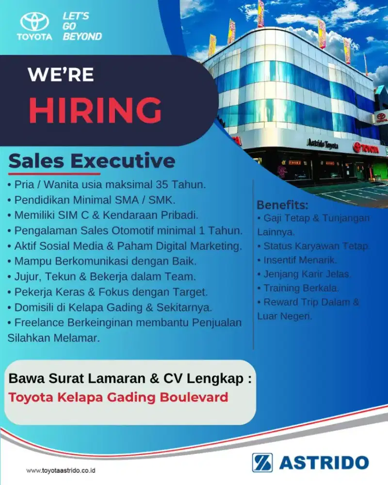 TOYOTA SALES EXECUTIVE