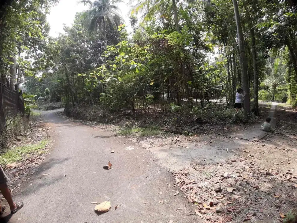 Dijual Tanah Pekarangan Luas di Argomulyo Sedayu bantul