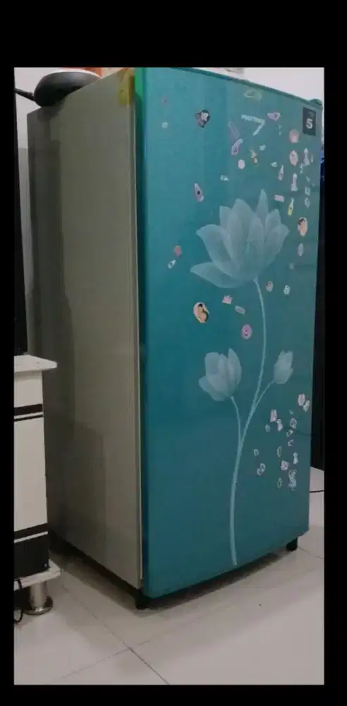 Jual kulkas pintu 1 merek polytron