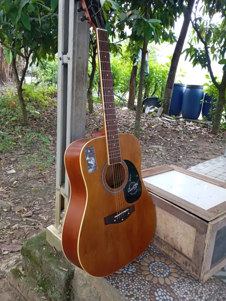 Jual gitar akustik