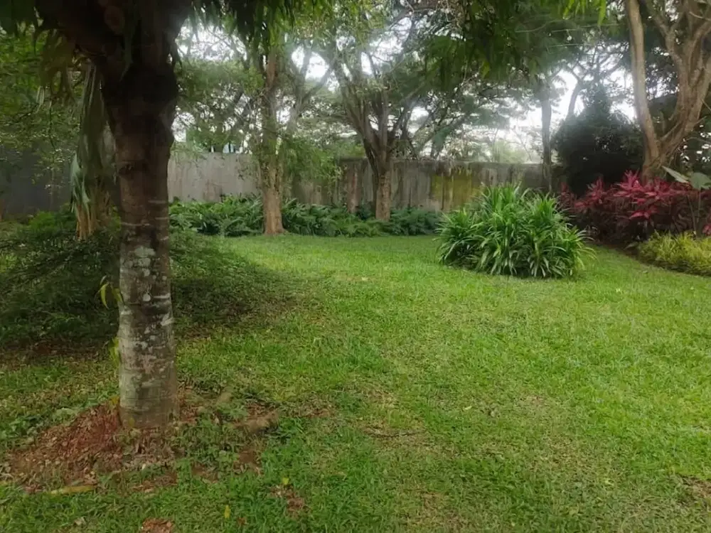 Tanah Kavling Sultan siap bangun di Cluster Nittaya yang sudah mapan dan asri,  dalam kawasan The Avani, BSD City