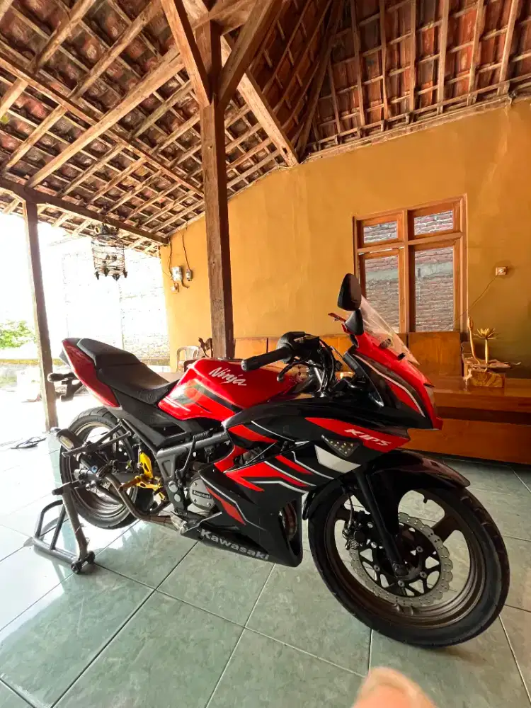 Kawasaki ninja rr new 2015 ninja se