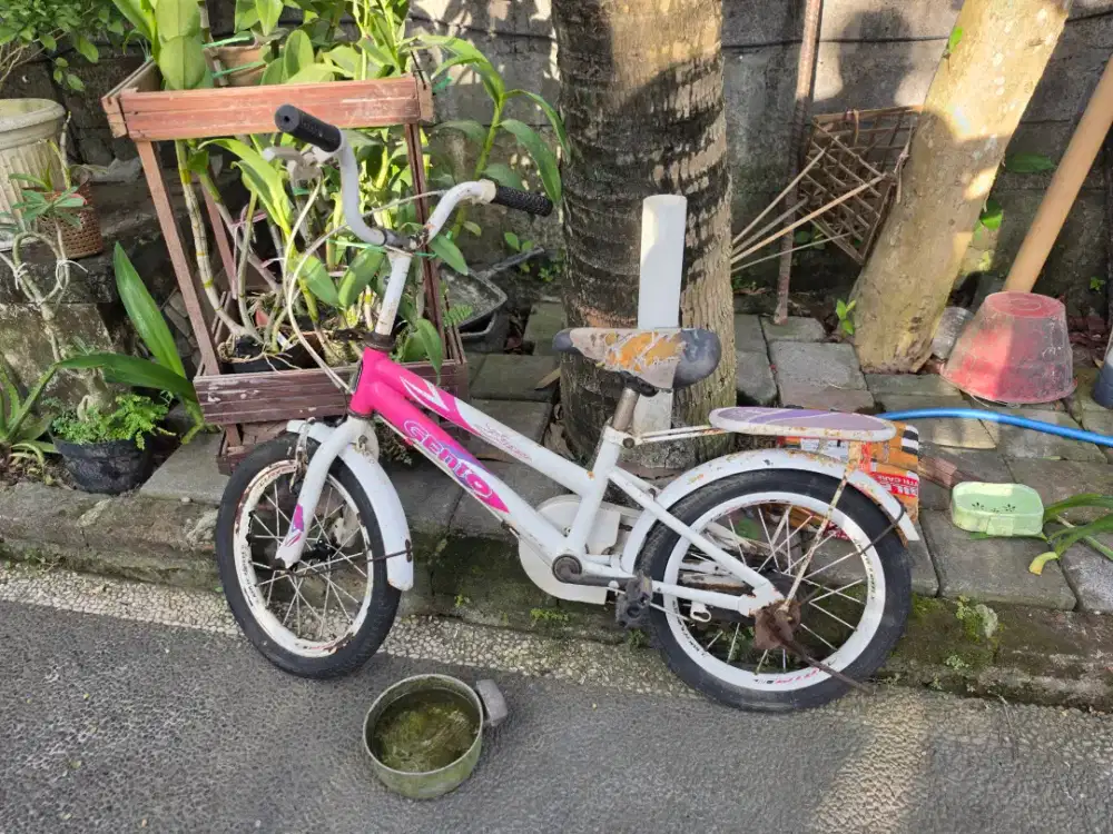 Sepeda mini anak 5th