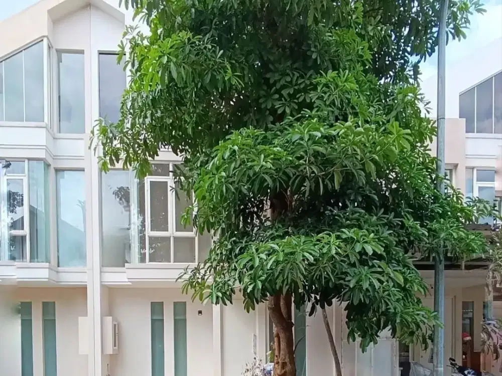 BUTUH JUAL CEPAT! Rumah zimbali costa pakuwon city