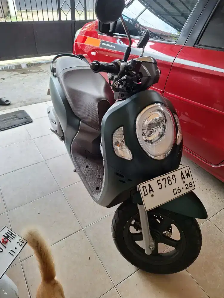 Scoopy prestige thn 2023