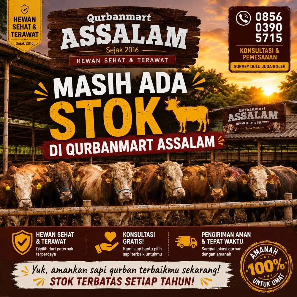 Jual domba dan sapi premium dengan pemeriksaan dokter hewan