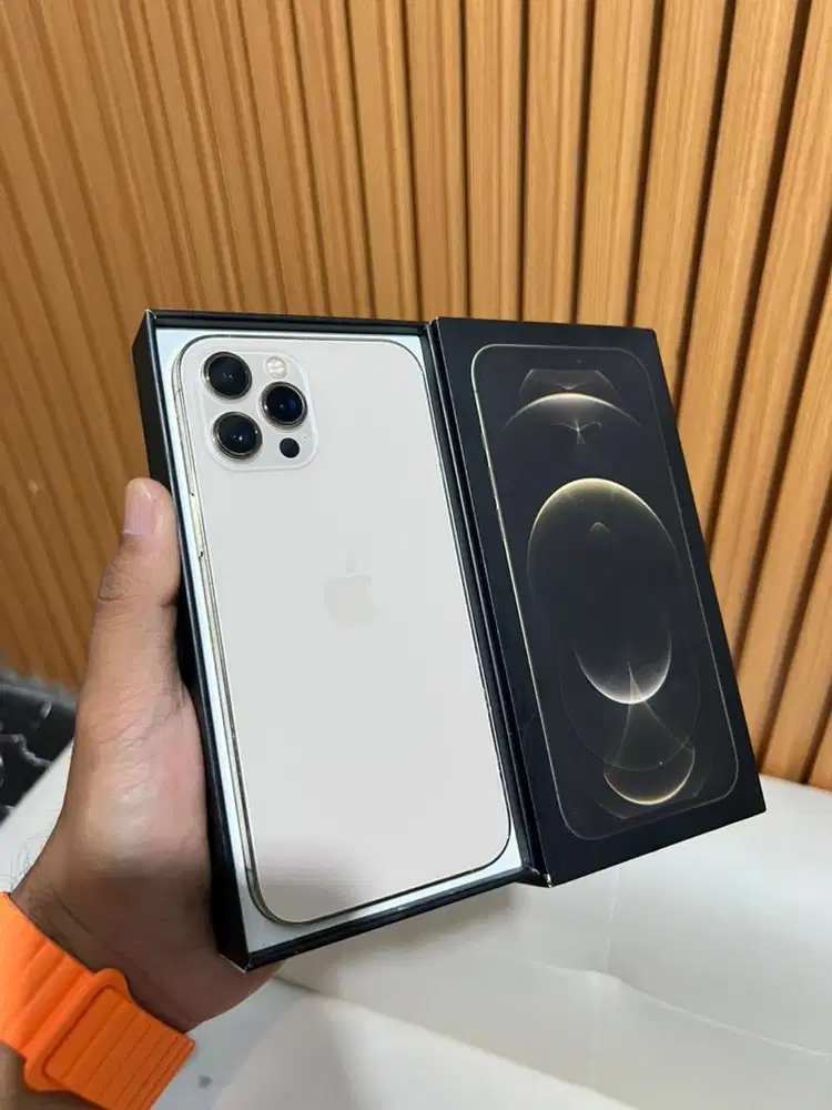 Iphone 12 pro max 256gb beacukai