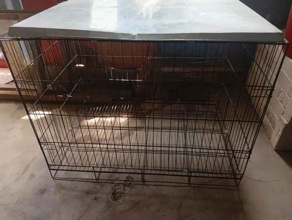 Kandang kucing' dll jumbo