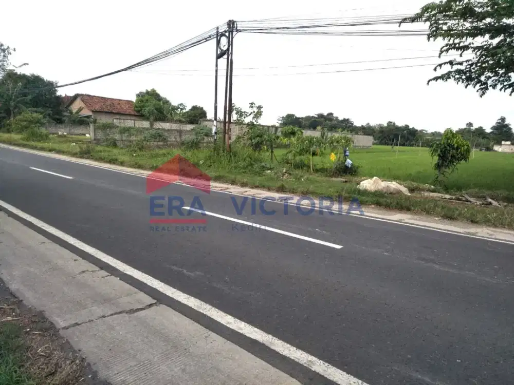 Tanah Lokasi Strategis Jalan Raya Mojo Kab Kediri Dekat Ponpes Bustanul Arifin