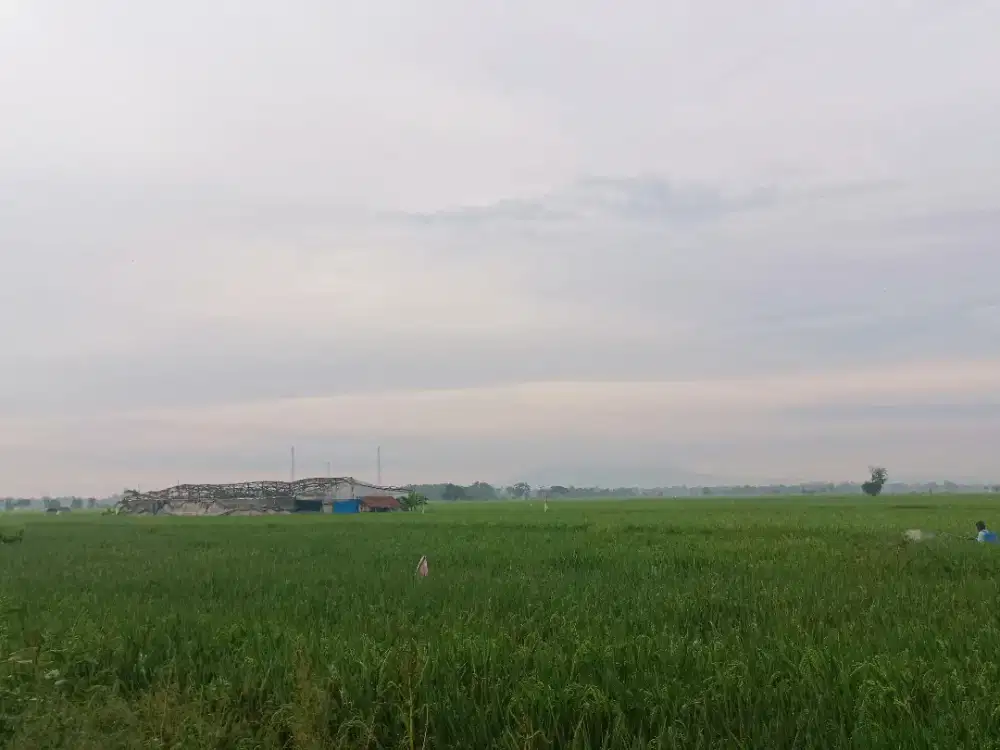Mencari Pekerjaan