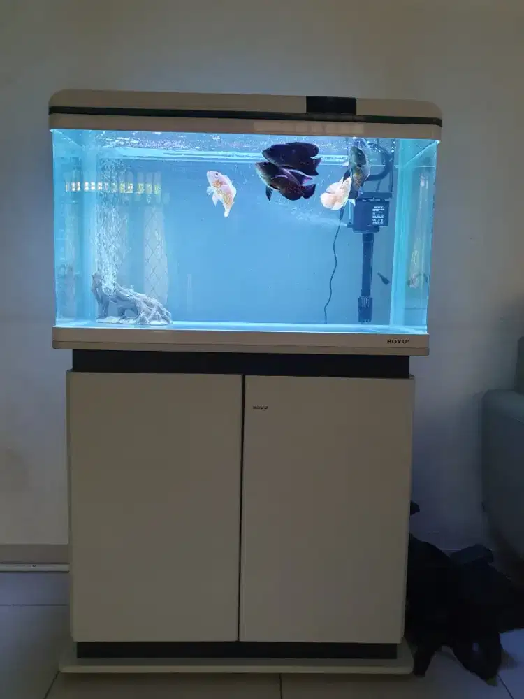 Aquarium kabinet