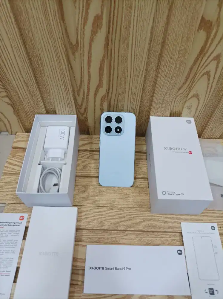 Xiaomi 17 12/512