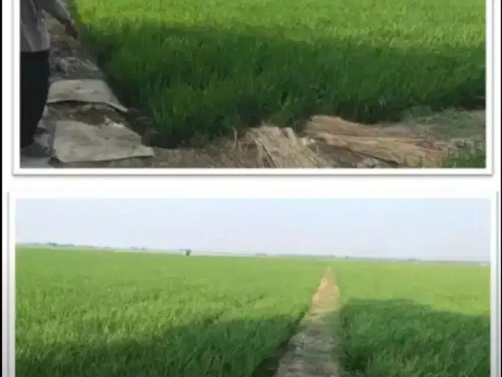 Dijual Tanah Siap Bangun Lokasi Strategis di Tegalsari Karawang