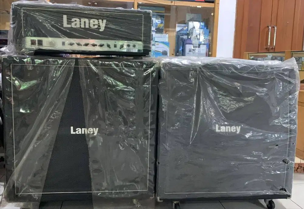 Spekaer laney GH100L& GS421P