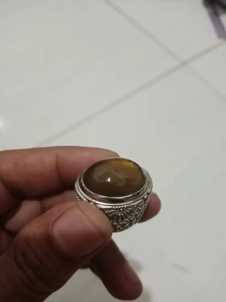Natural bio solar aceh